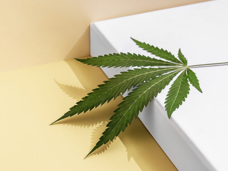 What Is The Difference Between THC And THCV