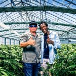 JamesLoudGenetics: Meet SeedsHereNow.com’s Accomplished Flower Breeder