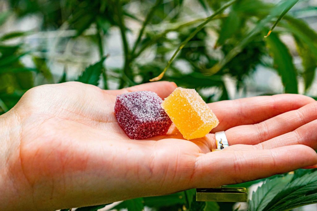 hand holding a couple of mushroom gummies