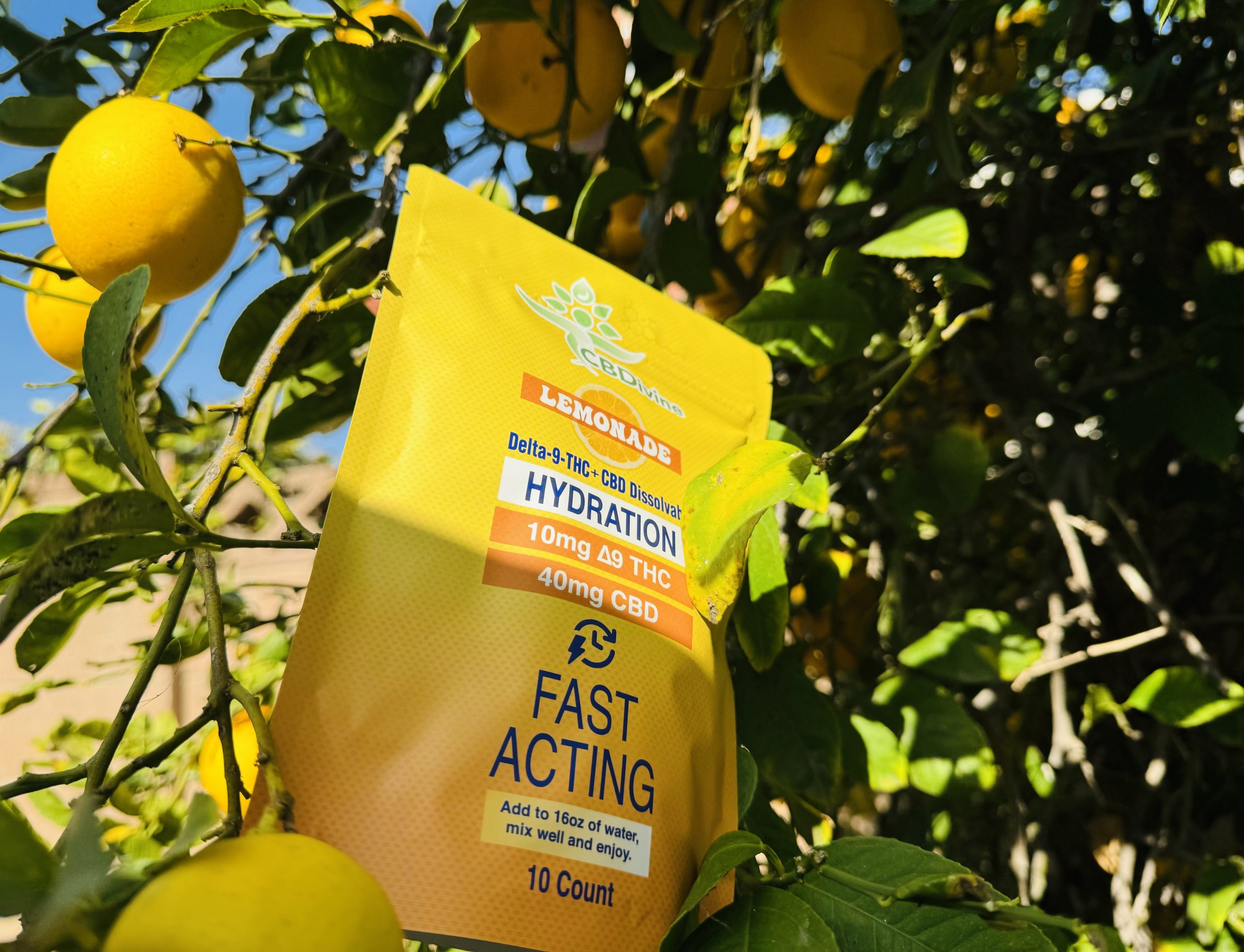 CBDivine Delta 9 + CBD Dissolvable hydration packs cover photo