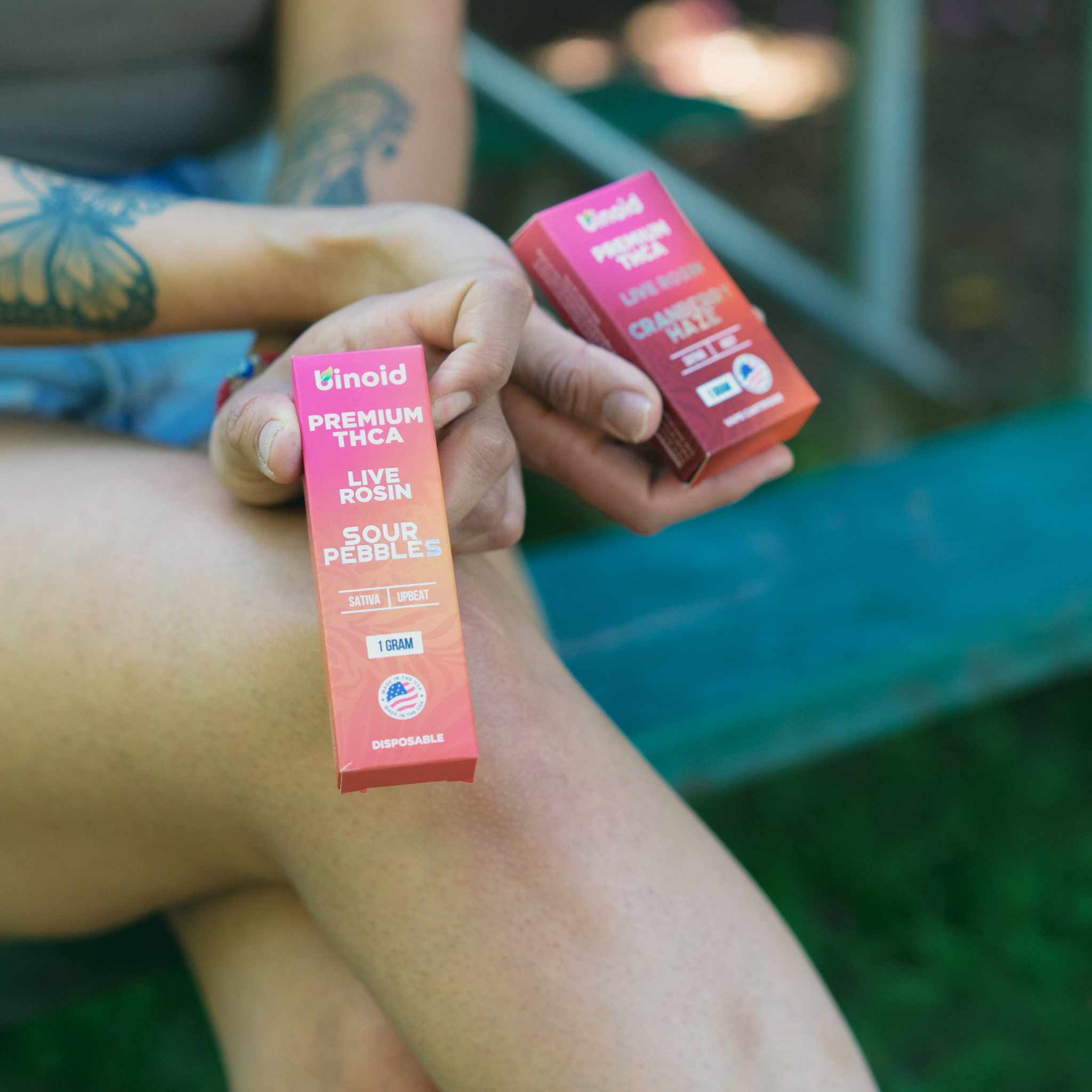 thca disposable vs cart cover photo