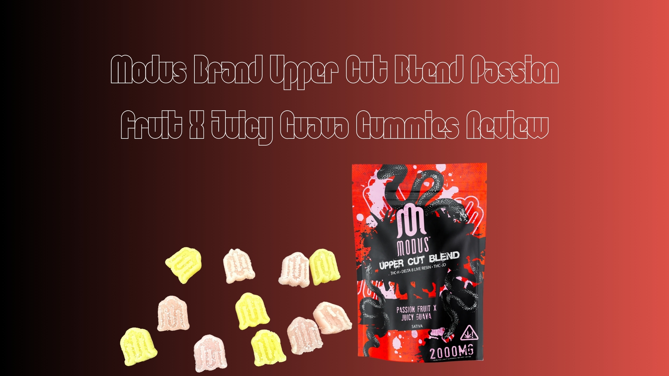 Modus Brand Upper Cut Blend Passion Fruit X Juicy Guava Gummies Review
