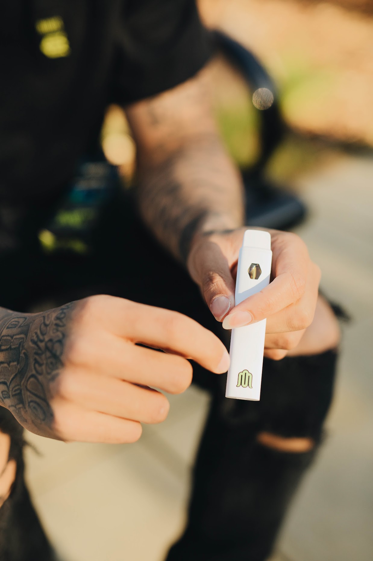 modus brand VVS Blend cover photo