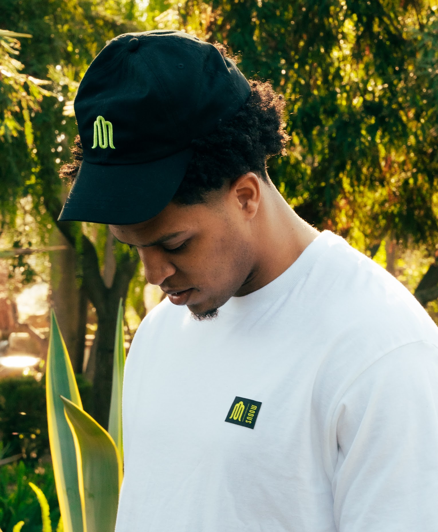 modus brand 2 gram pre-rolls cover photo