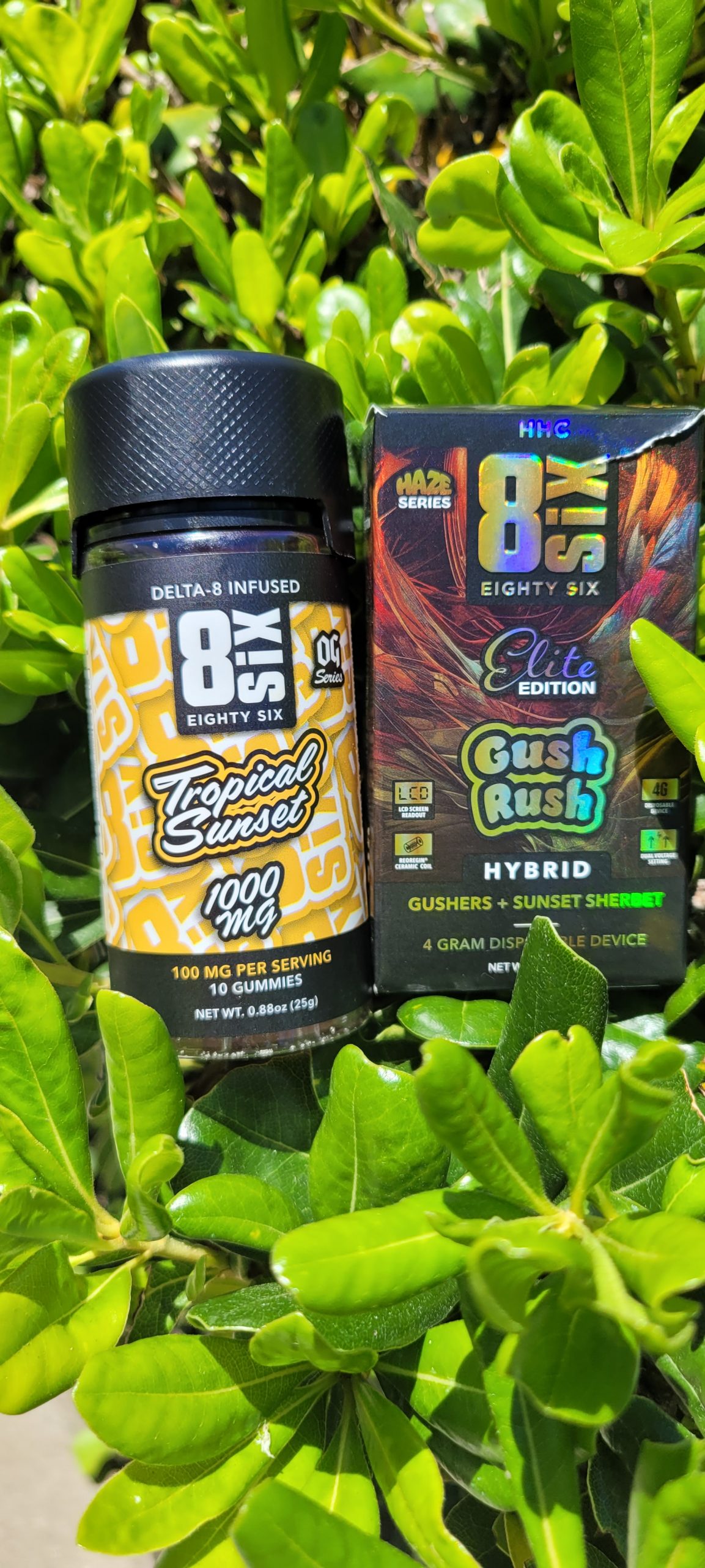 Eighty-Six Delta 8 Infused Gummies & Elite Edition 4-Gram HHC Disposable Review cover photo