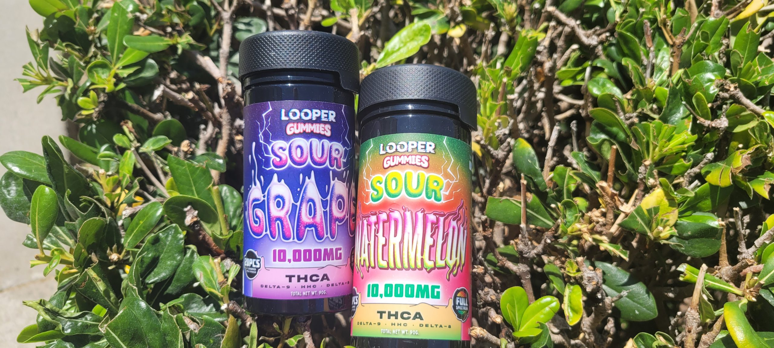 Looper THCA Live Badder Gummies Review