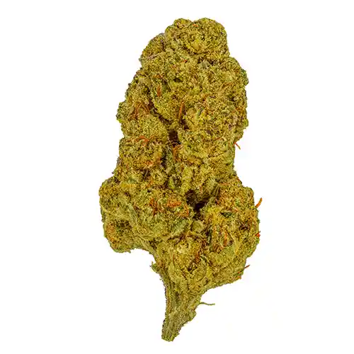 ice-cream-thca-flower-nug-web