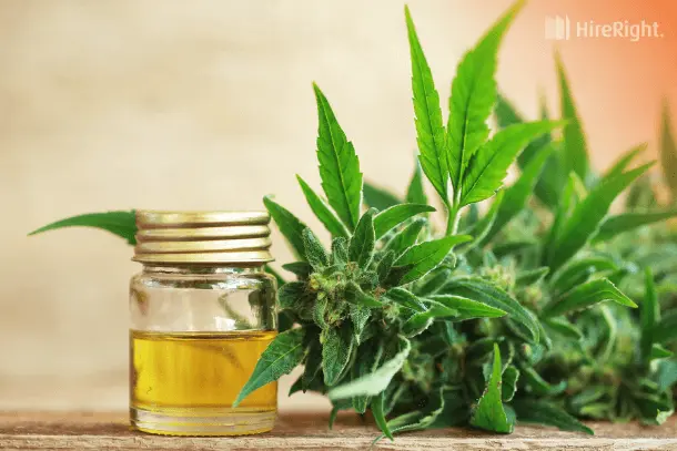 Zero THC benefits help you stay clean and get the best experience.