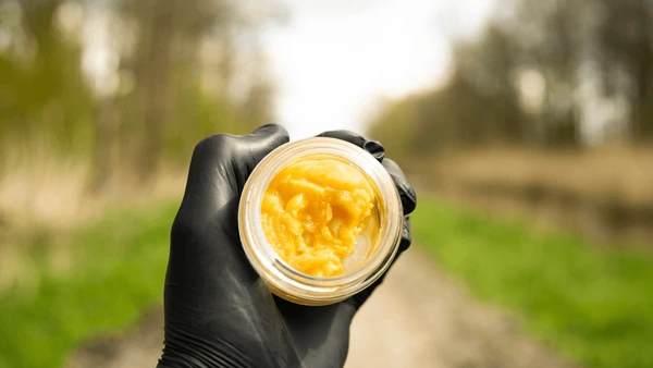 THCa Concentrates vs THCa Flowers is one of the heated debates on THCa products. Learn more about these two.