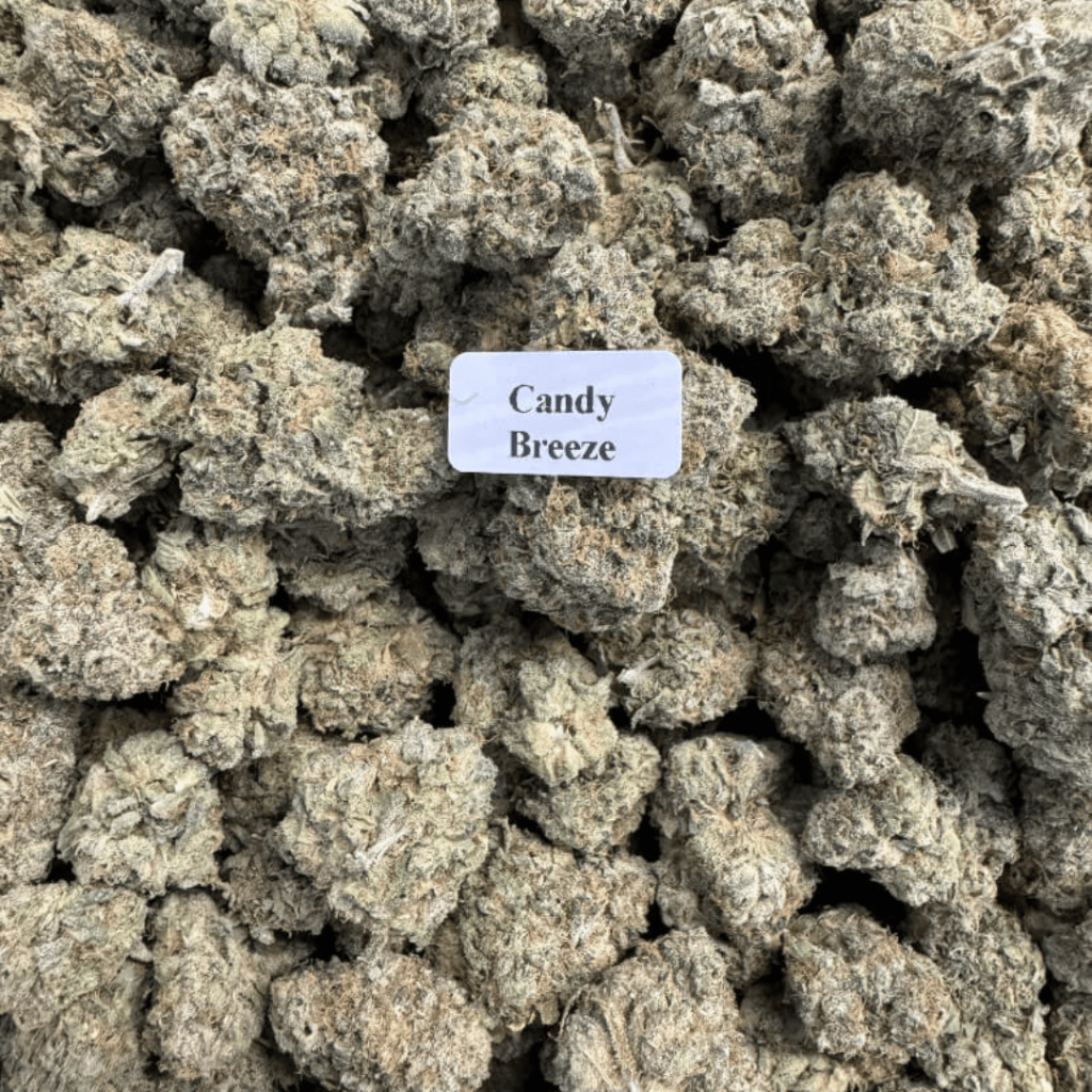 Image showing the difference between THCA Flower vs Gummies.