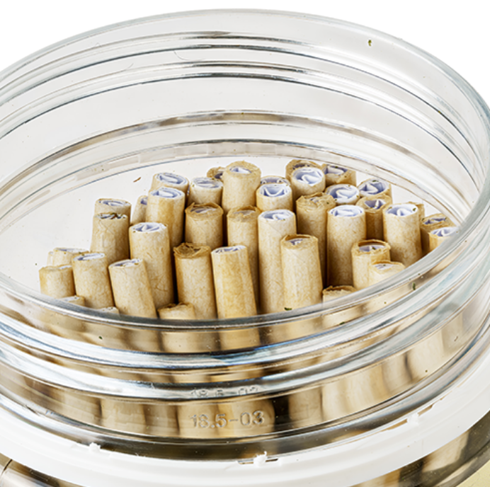 STNR Creations Loosies Pre-Rolls THCA shown in front of a well-lit background.