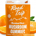 Gummies for Focusing: Do They Really Work?