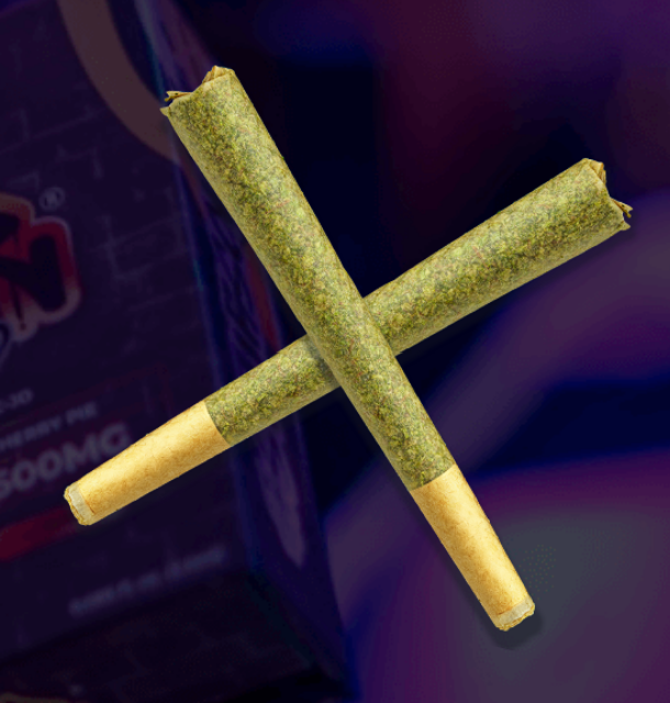 Hybrid Pre Rolls shown in front of a white background.