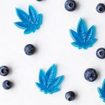 Delta 9 CBD Gummies: What Sets Them Apart from Other Edibles?