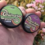 10DC Hash Bricks Product Review