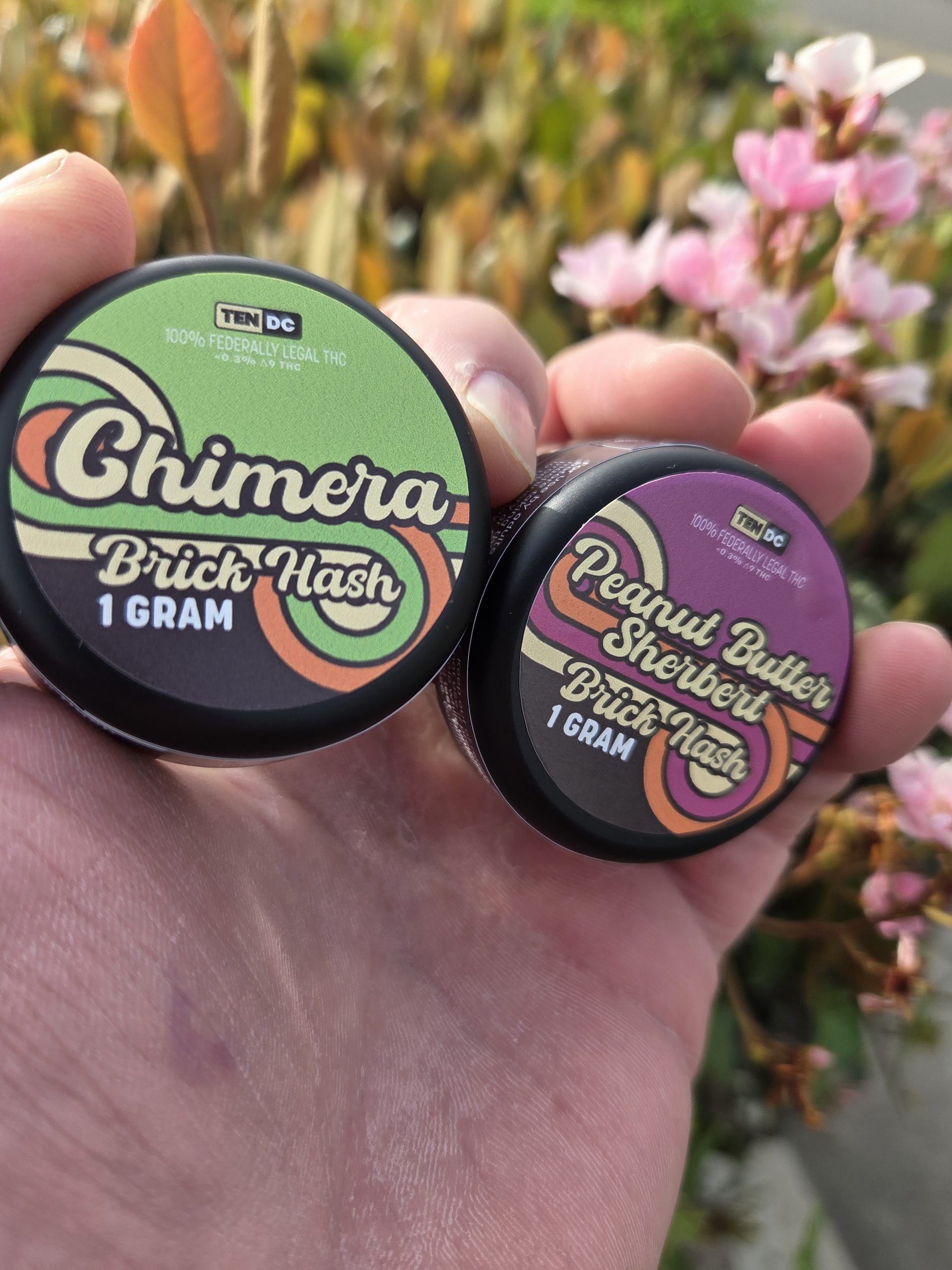 10DC Hash Bricks containers handheld by a guy outdoors.