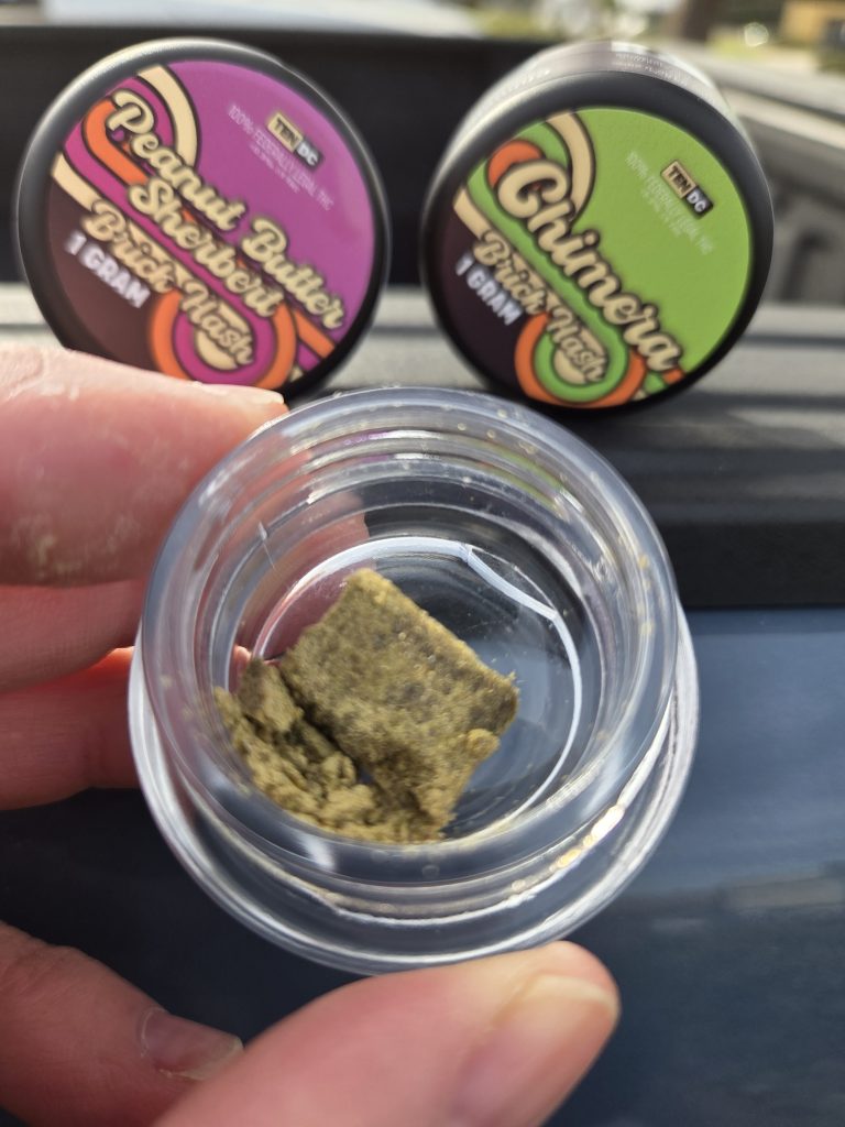 10DC Hash Bricks containers handheld by a guy outdoors.