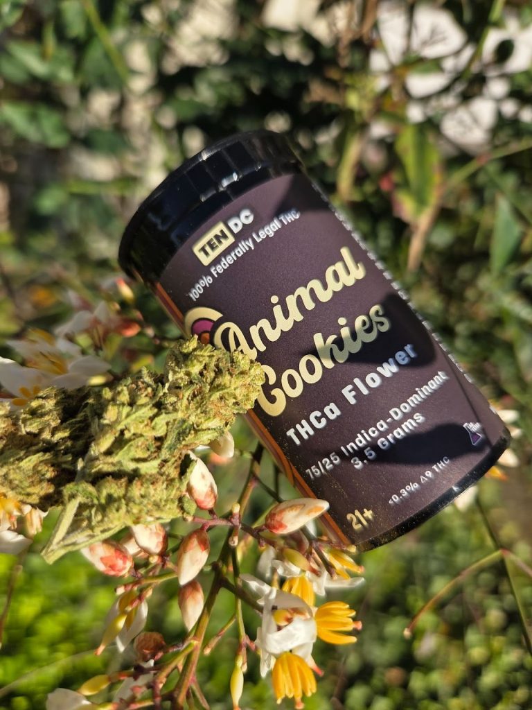 10DC Animal Cookies THCA Flower displayed on top of a grassy background.
