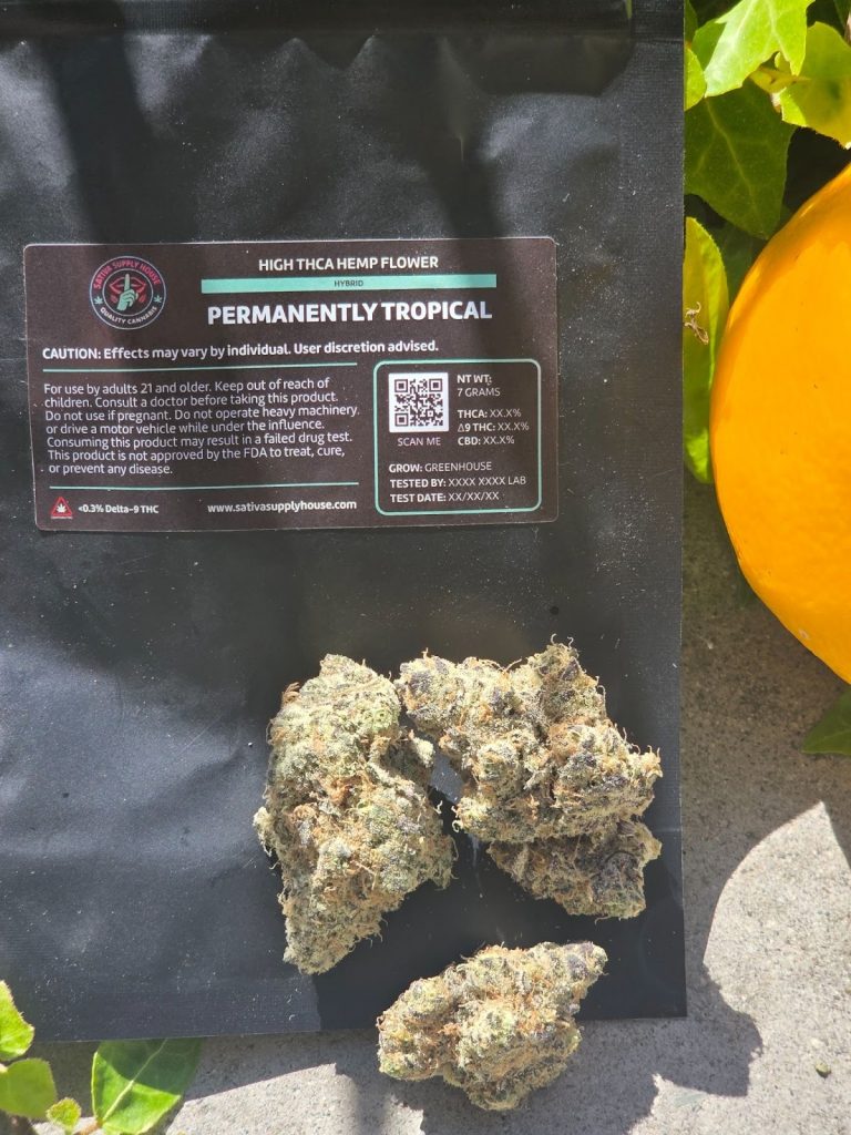 Sativa Supply House Permanently Tropical – Top Shelf Indoor displayed beside an orange fruit, outside, placed on top of its packaging.