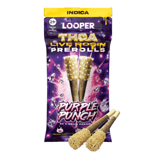 Looper THCA Live Rosin Prerolls in Purple Punch displayed in front of a white background.