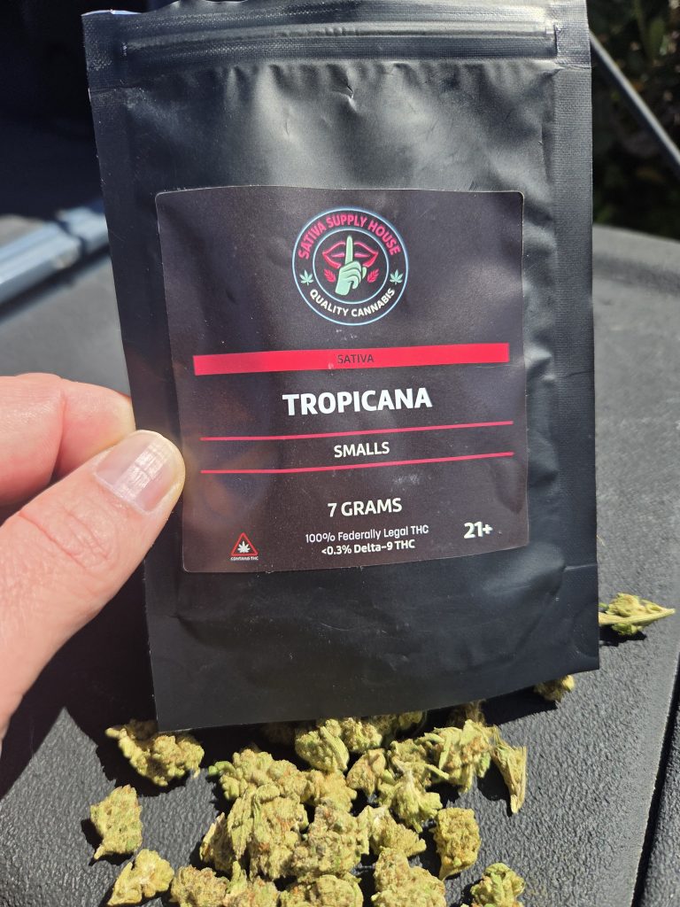 Sativa Supply House Tropicana Smalls scattered one a gray surface beside it's black packet bag being held by someone under the sunlight.