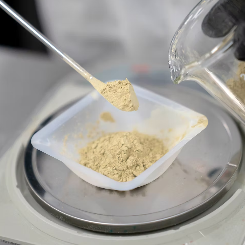 Kratom tea being prepared by using a small spatula getting the powder from a beaker and pouring it on a container.