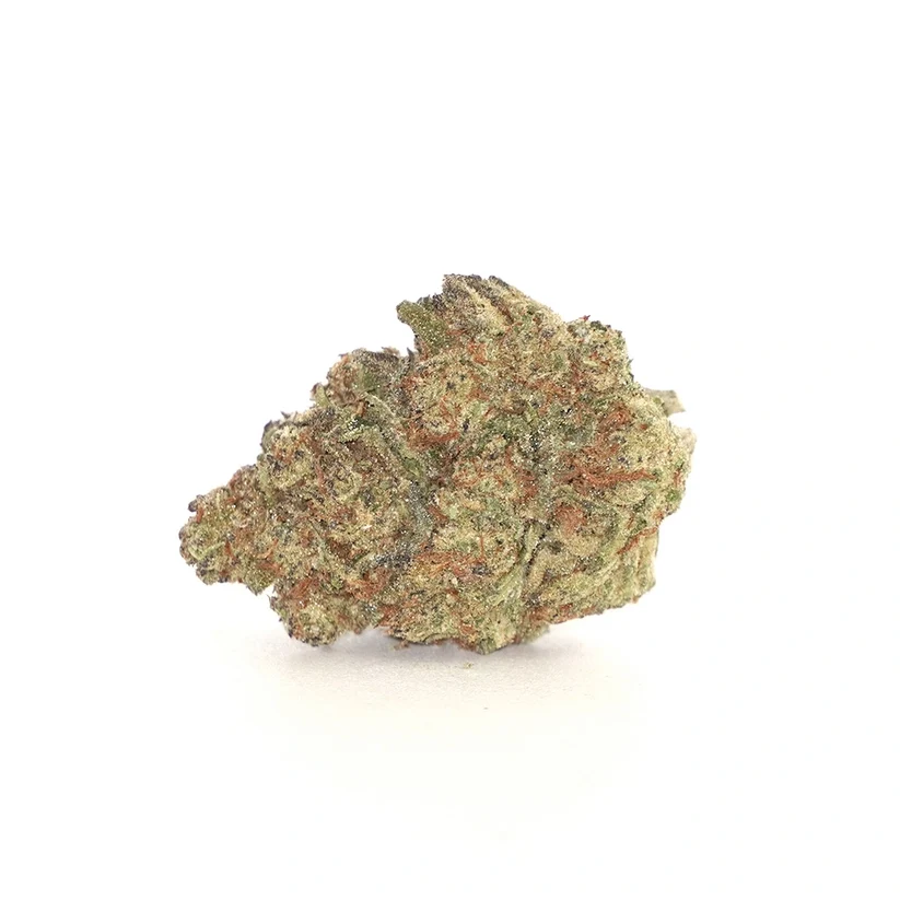 10DC Jelbow pack on a white background showing the flower.